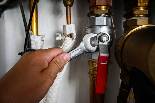 Best Plumbing Services Near Me  in Henry, IL